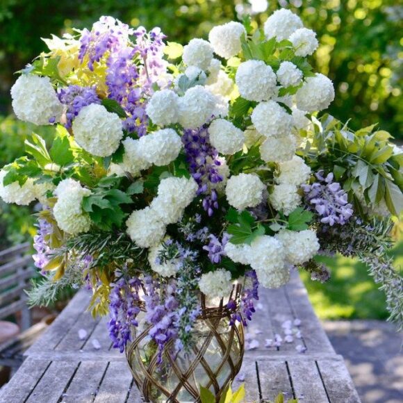 Printed Roses Online in Abu Dhabi I Talking Roses