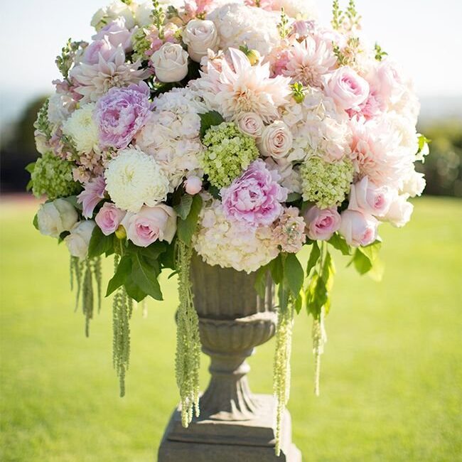 Printed Roses Online in Abu Dhabi I Talking Roses